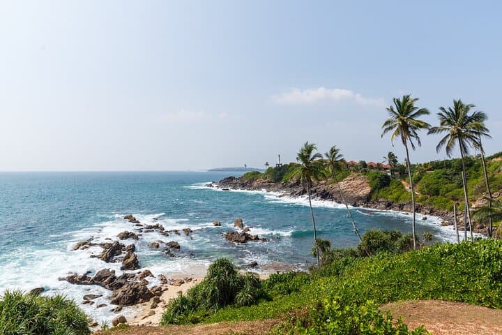 Galle Fort, Madu River & Turtle Hatchery: South Coast Day Tour from Colombo photo 4