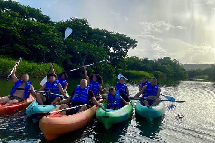 Rainforest Kayak Tour at Río Mameyes — Luquillo Mangrove & Estuary Paddle