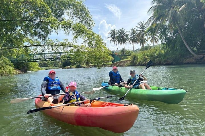 Rainforest Kayak Tour at Río Mameyes — Luquillo Mangrove & Estuary Paddle photo 2
