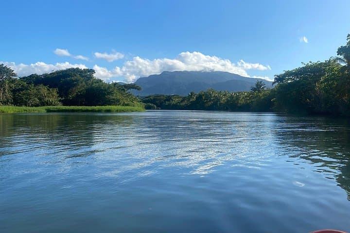 Rainforest Kayak Tour at Río Mameyes — Luquillo Mangrove & Estuary Paddle photo 4