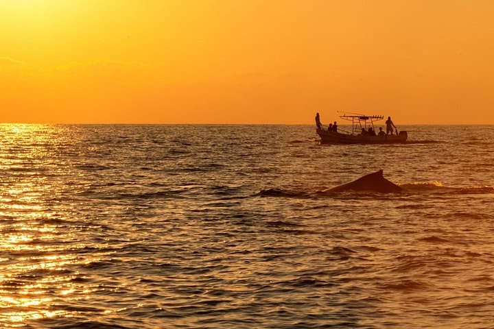 Hidden Beaches of Puerto Escondido: Private Lancha Tour & Snorkeling