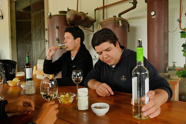 Full-Day Wine Tasting Tour in Sesimbra and Arrábida National Park photo 2