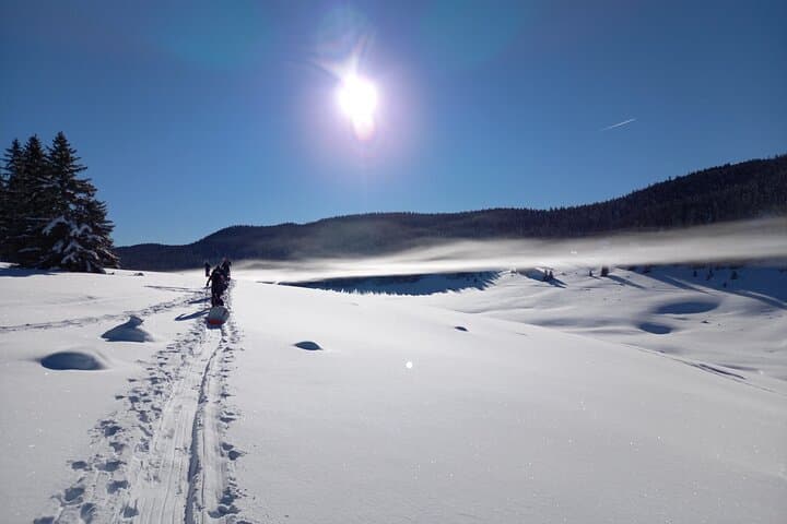 Into the Wild — One-Day Arctic Skills in Iceland's Westfjords