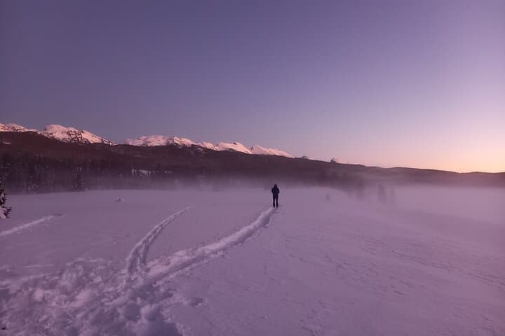 Into the Wild — One-Day Arctic Skills in Iceland's Westfjords photo 3