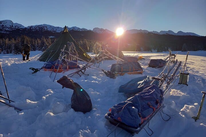 Into the Wild — One-Day Arctic Skills in Iceland's Westfjords photo 4