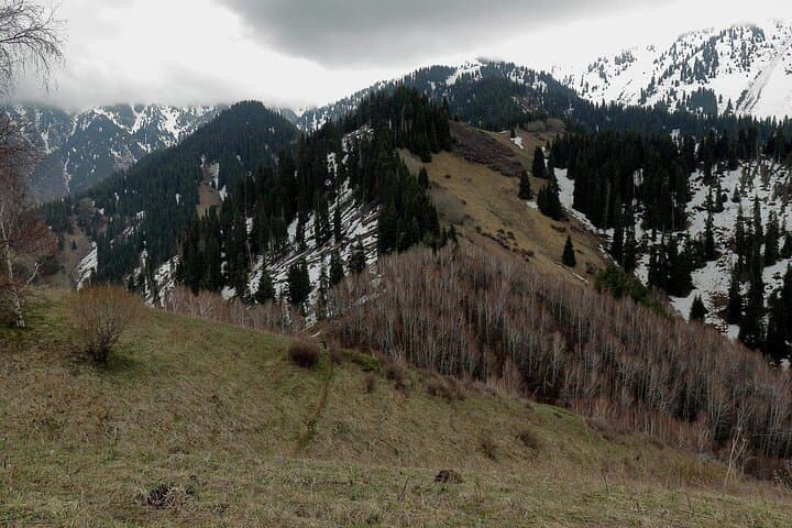Hike Altynbas Mountain: Medeo Panorama and Saka Heritage photo 3