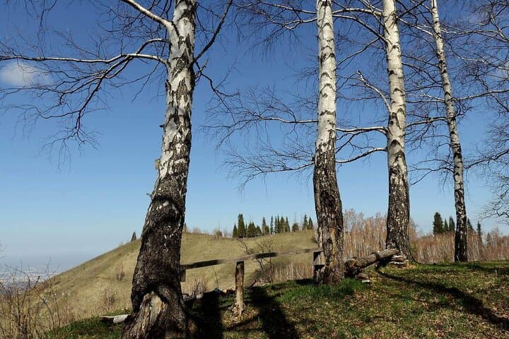 Hike Altynbas Mountain: Medeo Panorama and Saka Heritage photo 6