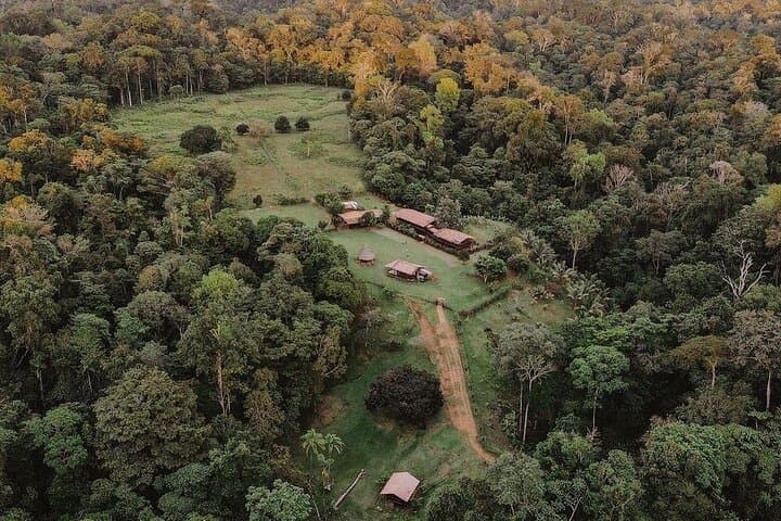 Into the San Pedrillo: 2-Day Corcovado Jungle Expedition photo 3