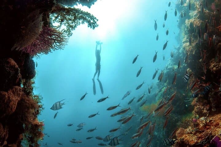 Multi-Day Sublue Sea Scooter Rental — St. Thomas & St. John Snorkel Adventure photo 4