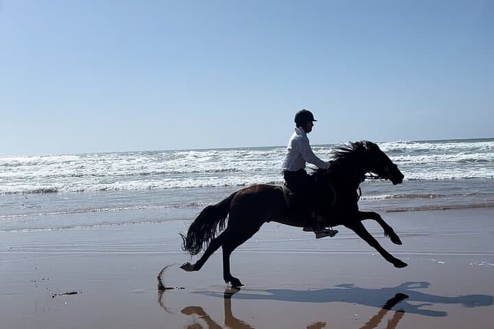 Sunset Horseback Ride on Essaouira Beach — 2-Hour Gallop Through Dunes & Forest photo 6