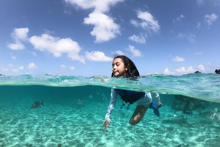 Cancun Speed Boat, Parasailing & Playa Delfines Beach Tour