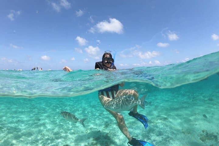 Cancun Speed Boat, Parasailing & Playa Delfines Beach Tour photo 5
