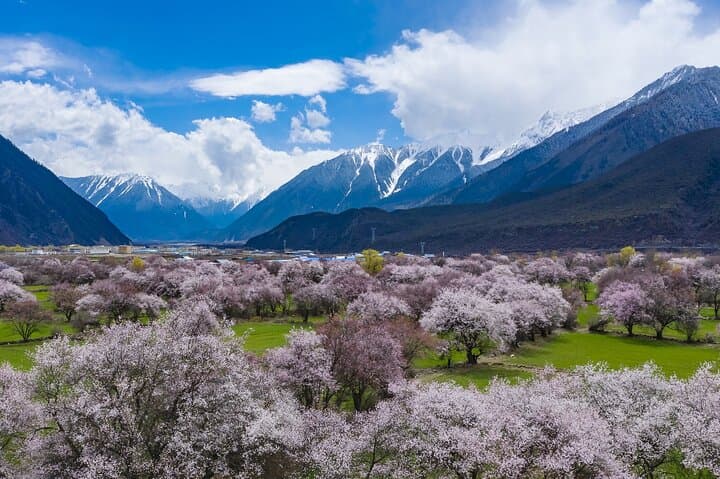 8-Day Tibet Small-Group Journey: Lhasa, Yamdrok Lake & Cultural Heartlands photo 1