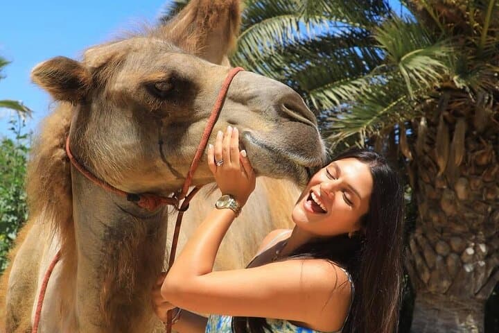 Camel Safari & Gastronomic Experience on the Pacific Coast near Todos Santos