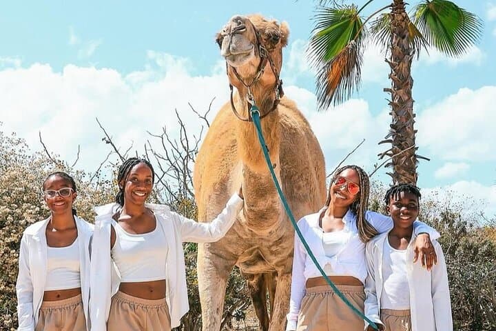 Camel Safari & Gastronomic Experience on the Pacific Coast near Todos Santos photo 3