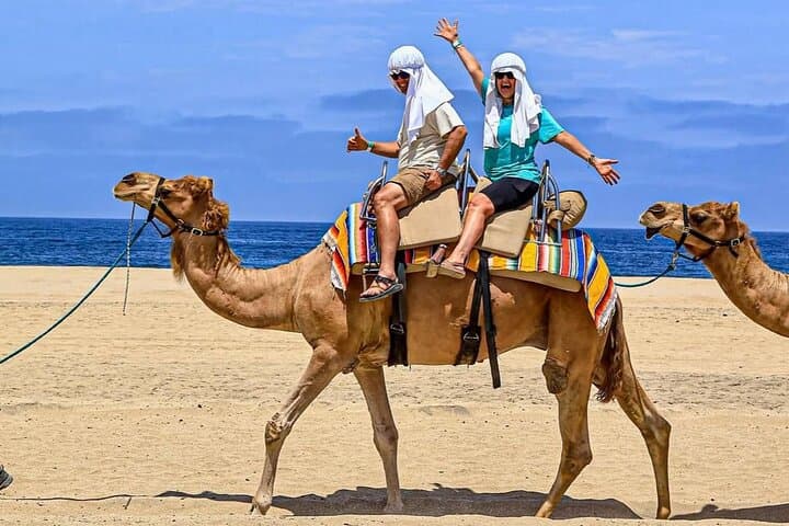Camel Safari & Gastronomic Experience on the Pacific Coast near Todos Santos photo 4