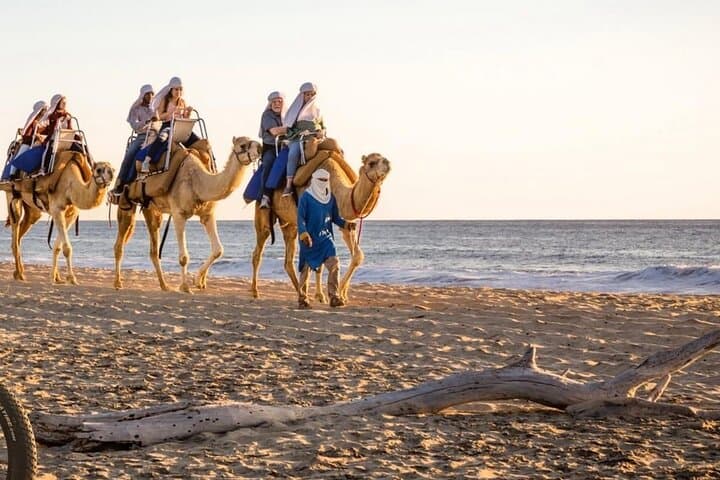 Camel Safari & Gastronomic Experience on the Pacific Coast near Todos Santos photo 5