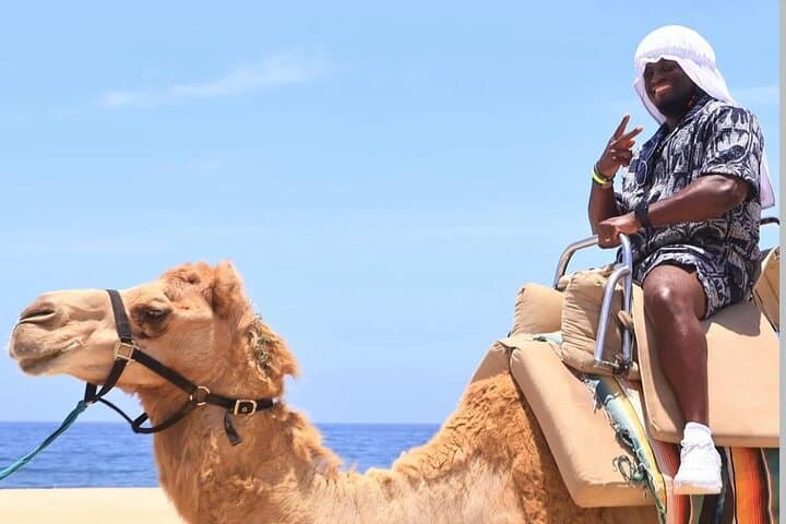 Camel Safari & Gastronomic Experience on the Pacific Coast near Todos Santos photo 6
