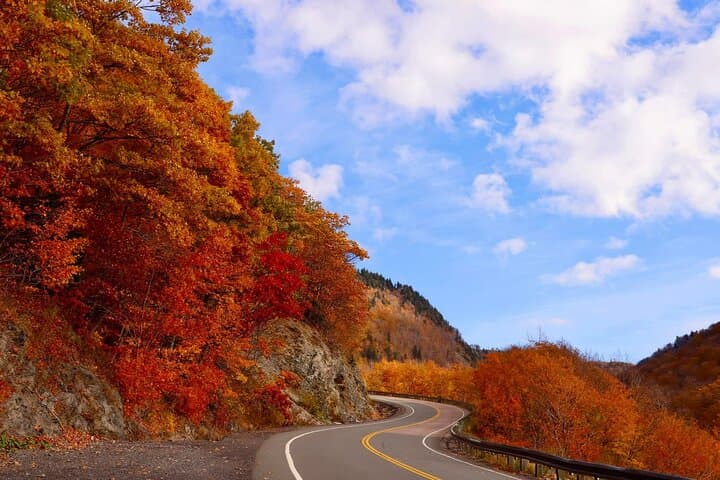 Full Cabot Trail Drive: Skyline Hikes, Seaside Lookouts & Acadian Villages photo 2