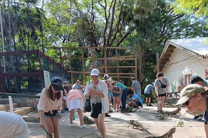 Roatán Island Tour: Mayan Eden Wildlife, Food Tasting & Beach Break photo 1