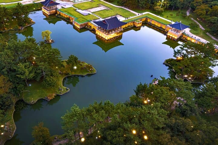 Gyeongju One-Day Tour from Daegu: Bulguksa, Royal Tombs & Night Views photo 3
