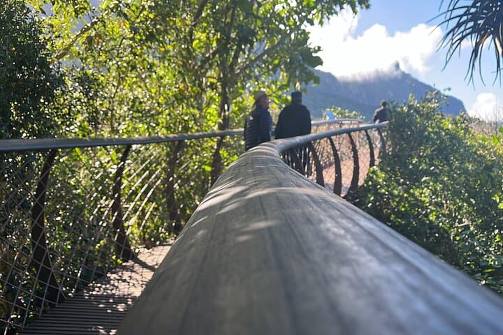 Table Mountain & Kirstenbosch: Cape Town’s Ultimate Nature Duo photo 5