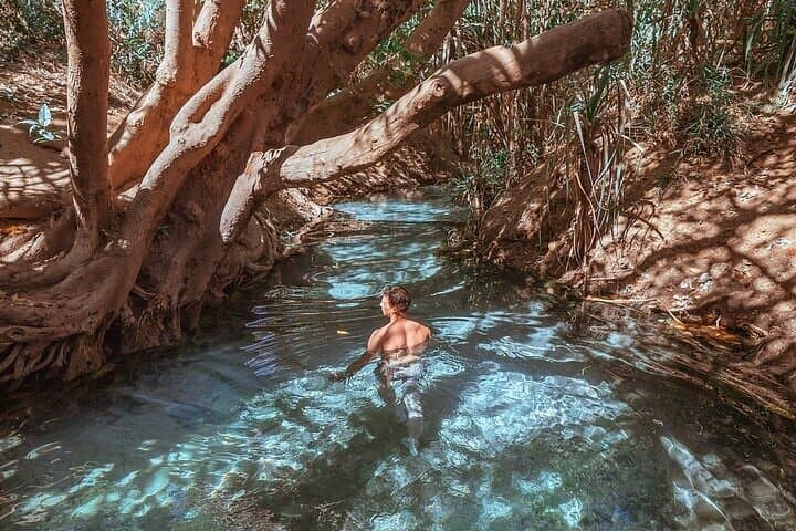 Nitmiluk Gorge & Katherine Hot Springs Full-Day Tour from Darwin photo 6