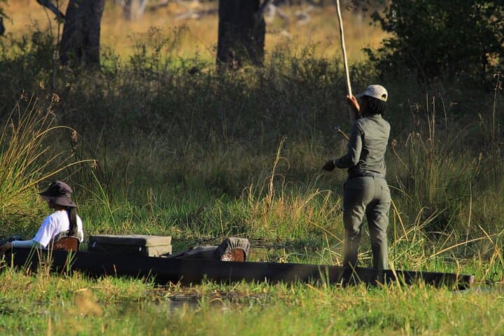 11-Day Botswana Safari & Victoria Falls Adventure — Okavango, Savuti & Chobe Highlights photo 3
