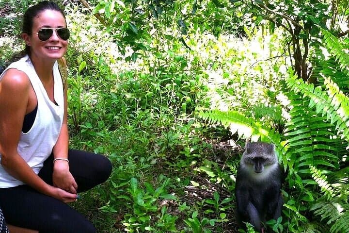 Jozani Forest and Zanzibar Spice Farm Day Tour: Red Colobus, Mangroves & Local Flavors