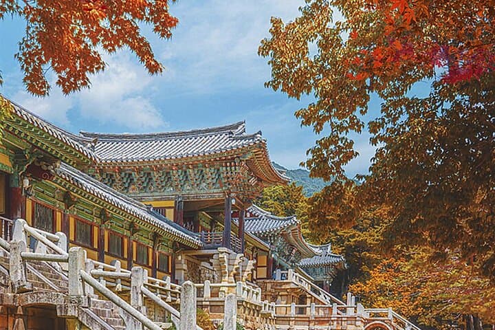 Gyeongju One-Day Tour from Daegu: Bulguksa, Royal Tombs & Night Views photo 4