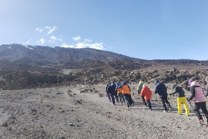 Marangu Route Kilimanjaro Huts: Comfortable 5–6 Day Ascent to Uhuru Peak photo 2