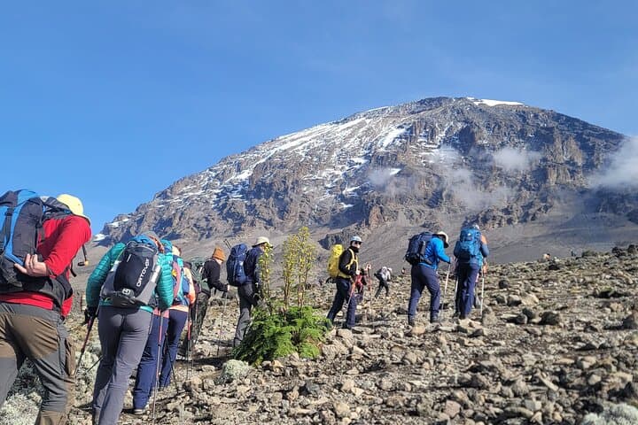 Marangu Route Kilimanjaro Huts: Comfortable 5–6 Day Ascent to Uhuru Peak photo 4