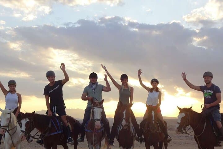 Luxor West Bank Horse and Camel Desert Camp Experience photo 3