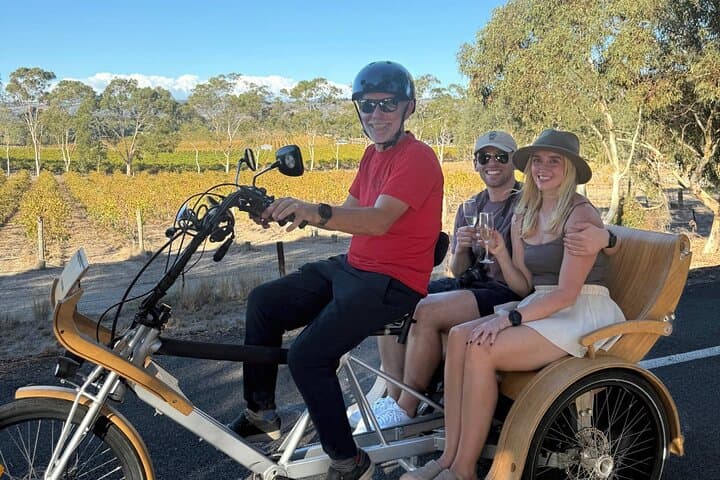 eTukTuk Adventure from Oxenberry Farm — Explore McLaren Vale’s Shiraz Trail by Electric TukTuk