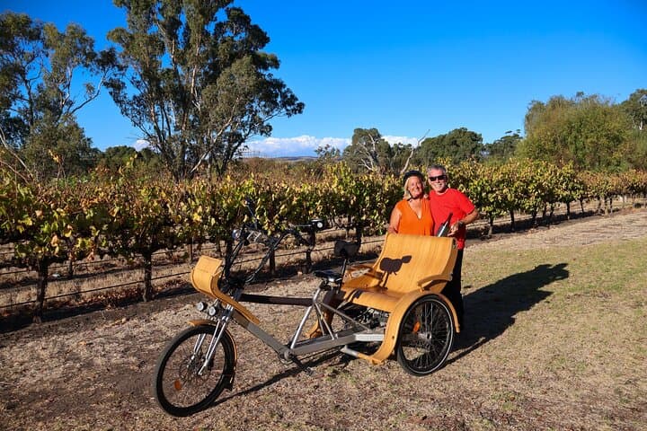 eTukTuk Adventure from Oxenberry Farm — Explore McLaren Vale’s Shiraz Trail by Electric TukTuk photo 2