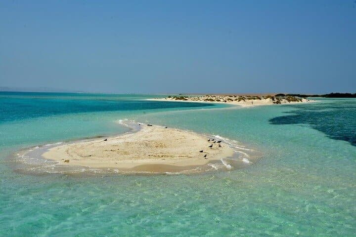 Snorkel El Qulan & Sharm El Luli: Half-Day Red Sea Mangroves and Reefs photo 3