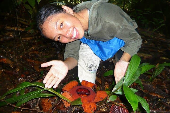 Maliau Basin Expedition: 3-Day 'Lost World' Wilderness Adventure from Tawau photo 2