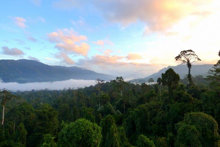 Maliau Basin Expedition: 3-Day 'Lost World' Wilderness Adventure from Tawau photo 6