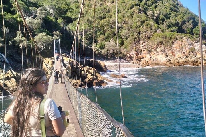Full-Day Tsitsikama National Park Tour from Port Elizabeth: Big Tree, Storms River & Adventure Options photo 4