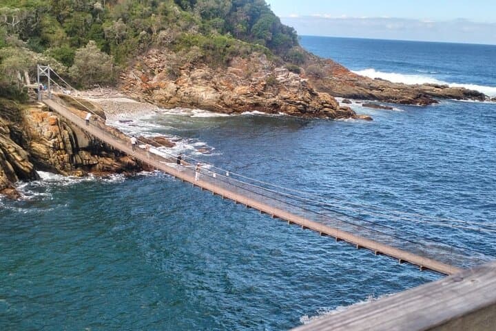 Full-Day Tsitsikama National Park Tour from Port Elizabeth: Big Tree, Storms River & Adventure Options photo 5