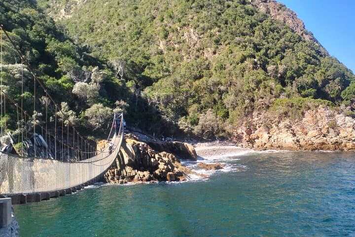 Full-Day Tsitsikama National Park Tour from Port Elizabeth: Big Tree, Storms River & Adventure Options photo 6