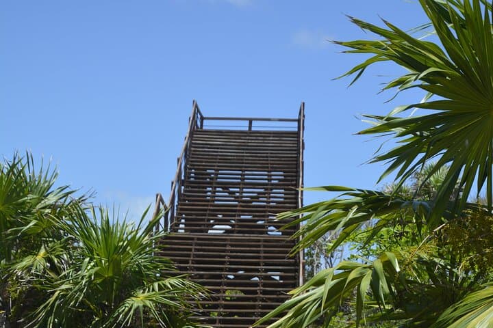 Tulum Jaguar Park Day Pass — Snorkel the Mesoamerican Reef and Explore Mayan Lookouts photo 2