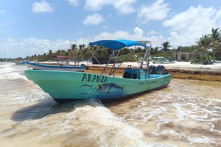Tulum Jaguar Park Day Pass — Snorkel the Mesoamerican Reef and Explore Mayan Lookouts photo 6