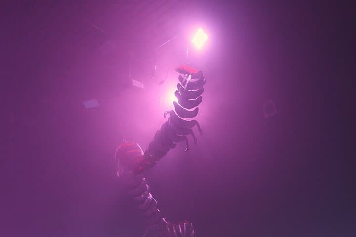 Prague420: Original Subculture Tour — Explore Prague’s Alternative Scene photo 5
