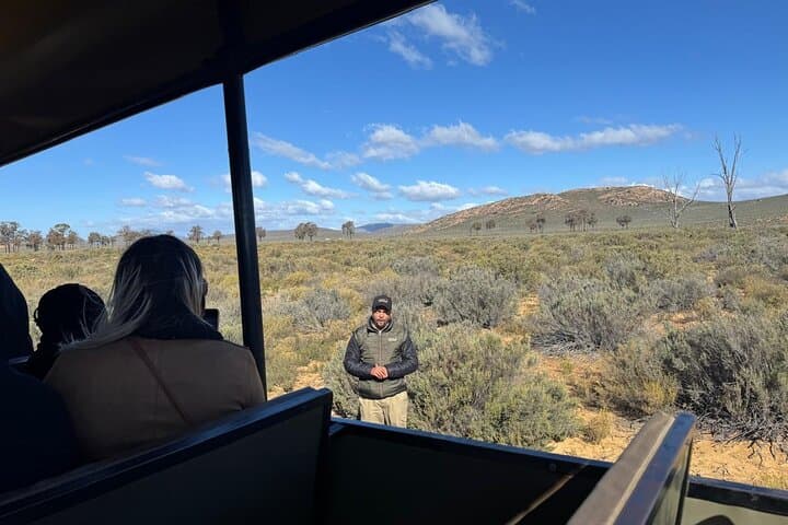 Half-Day Aquila Game Reserve Safari from Cape Town — Big Five in the Karoo photo 4