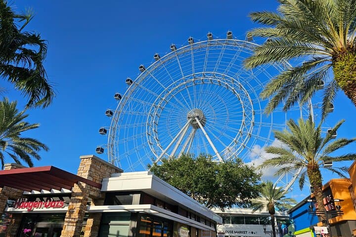 Budget 5-Day Orlando Self-Guided Disney-Area Adventure: Beaches, Wildlife and Iconic Stops photo 2