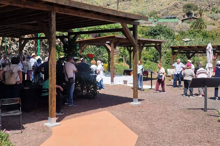 Finca Los Castaños Coffee Tour — Agaete Valley's Volcanic Arábica Experience photo 2