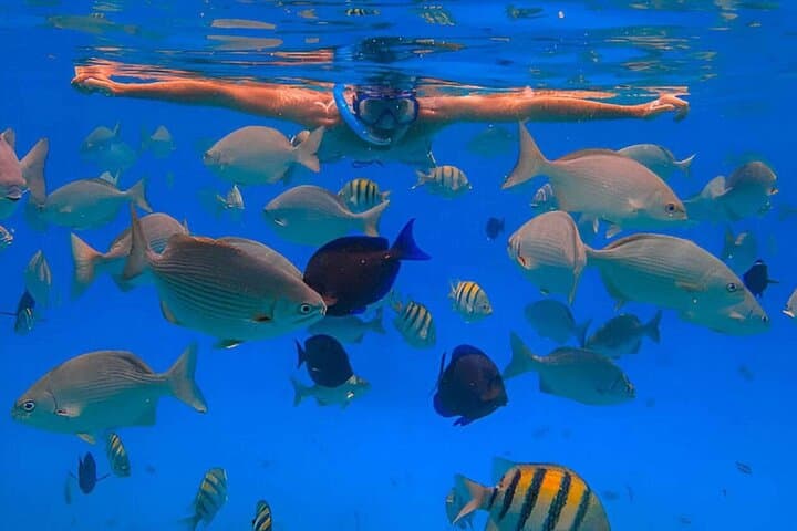 Sosúa Snorkel and Monkey Jungle Adventure in Puerto Plata photo 3