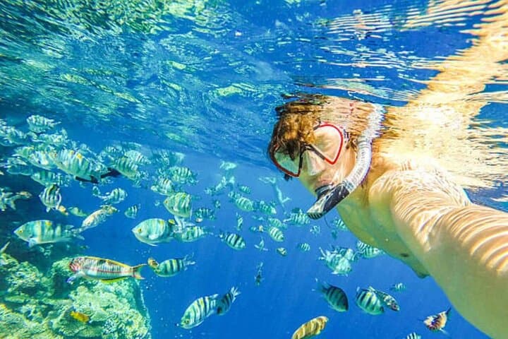 Sosúa Bay Snorkeling from Puerto Plata: Coral Reefs, Boat Ride, and Local Lunch photo 3