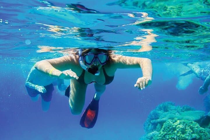 Sosúa Bay Snorkeling from Puerto Plata: Coral Reefs, Boat Ride, and Local Lunch photo 4